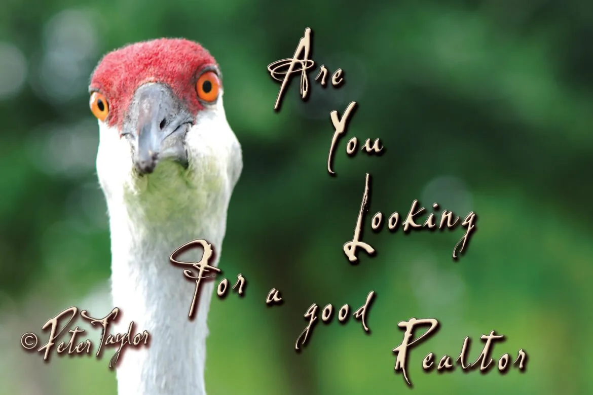 Are You Looking For a Good South Florida Realtor?