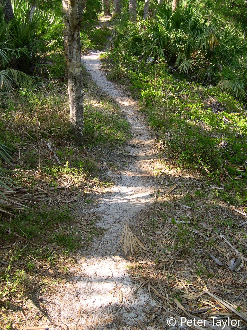 The Path By The River at Oxbow is a Little Hilly.