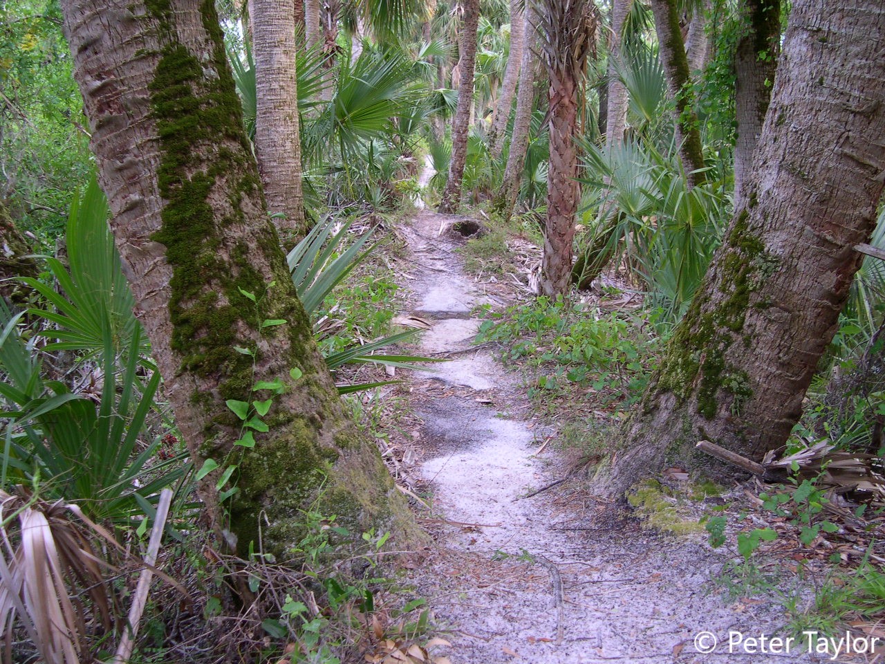 On The Trail Near the River at Oxbow Ecological Center.