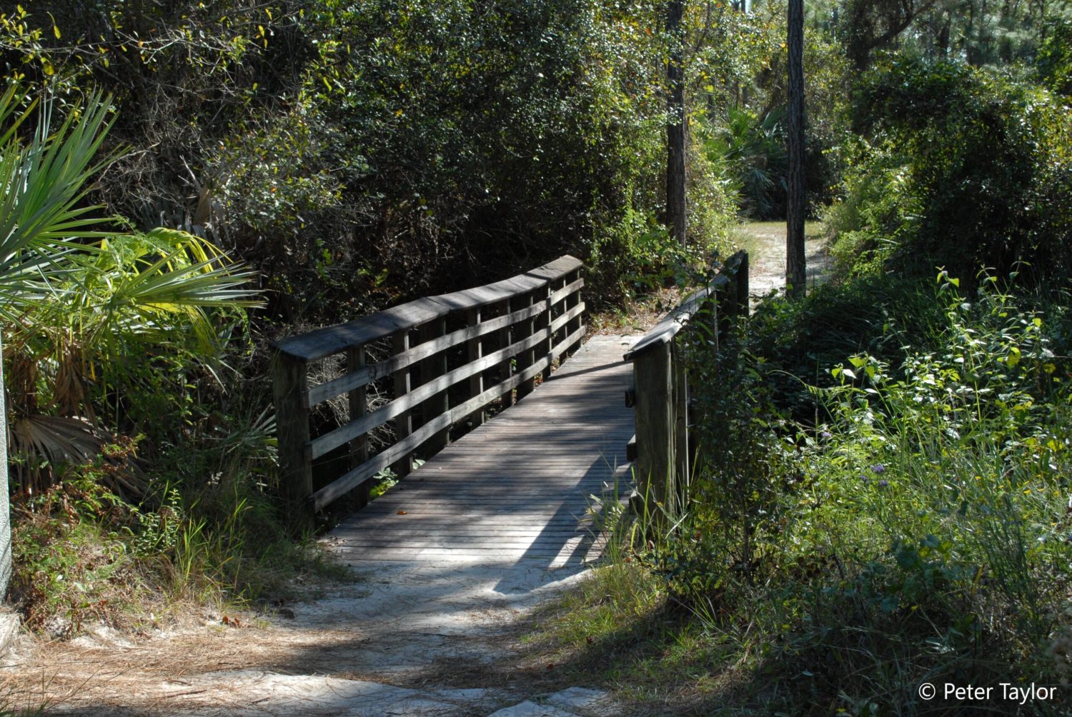 Quaint Trail Bridge at Oxbow. Quaint Trail Bridge at Oxbow.