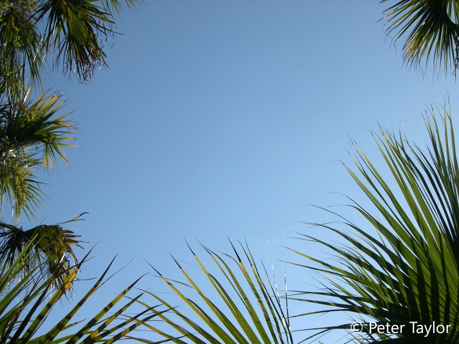 When You Are Looking at a House, Always Look UP!! And the same, at Oxbow!! When You Are Looking at a House, Always Look UP!! And the same, at Oxbow!!